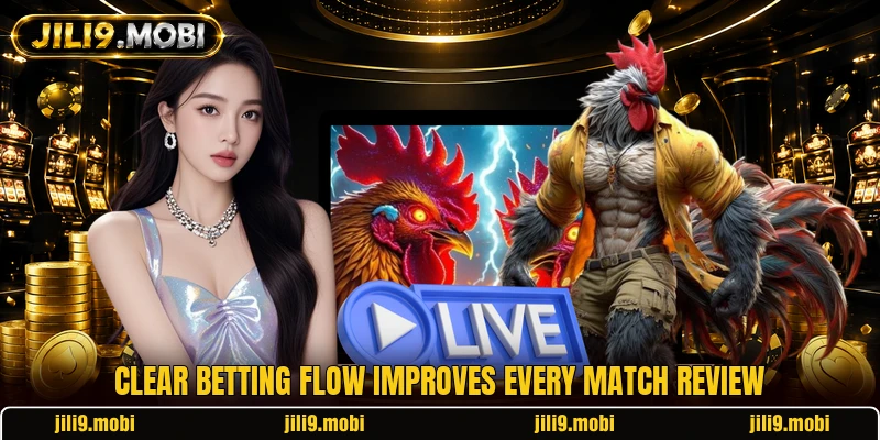 Clear betting flow improves every match review
