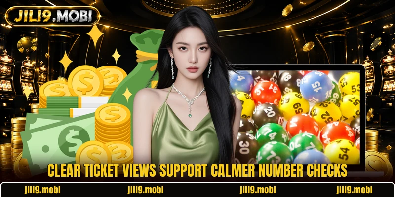 Clear ticket views support calmer number checks