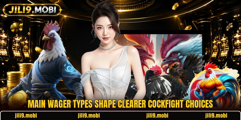 Main wager types shape clearer cockfight choices