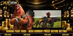 Sabong Fight Odds - Read Current Prices Before Betting