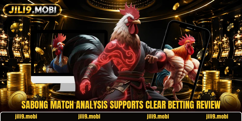 Sabong match analysis supports clear betting review
